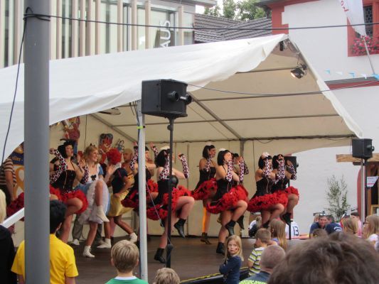 Strassen-_und_Hoffest 2014_156.jpg